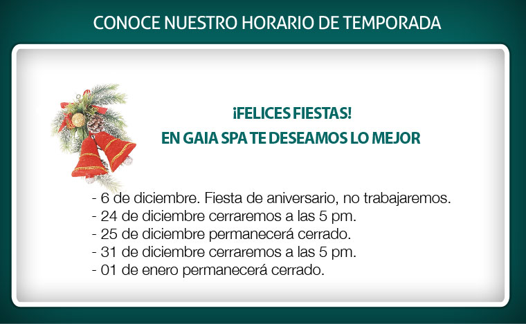 horario navideño